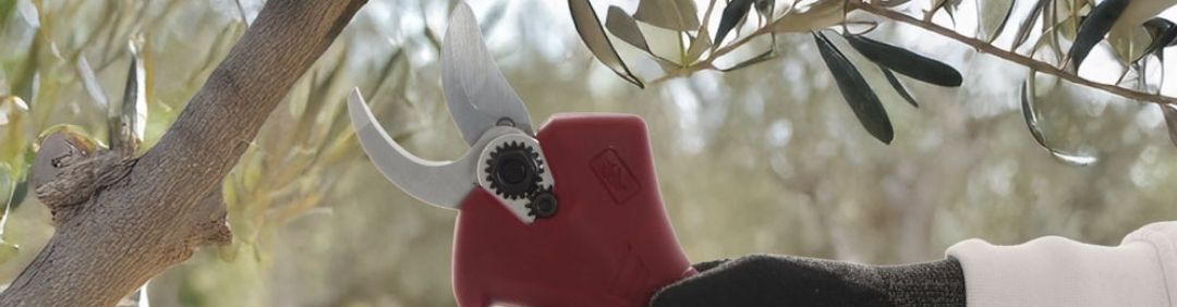 Forbici elettriche a batteria da potatura Archman