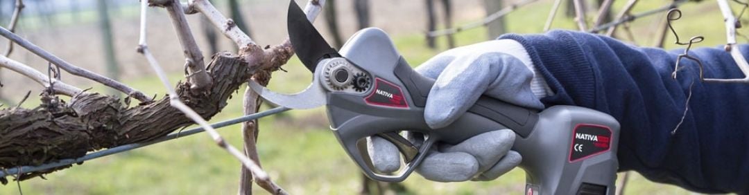 Le migliori migliori forbici da potatura Ausonia a batteria in offerta su AgriEuro