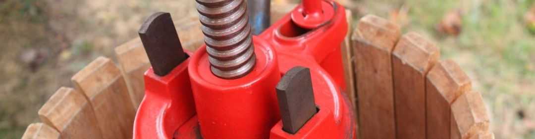 I migliori torchi per uva Baesso in offerta su AgriEuro