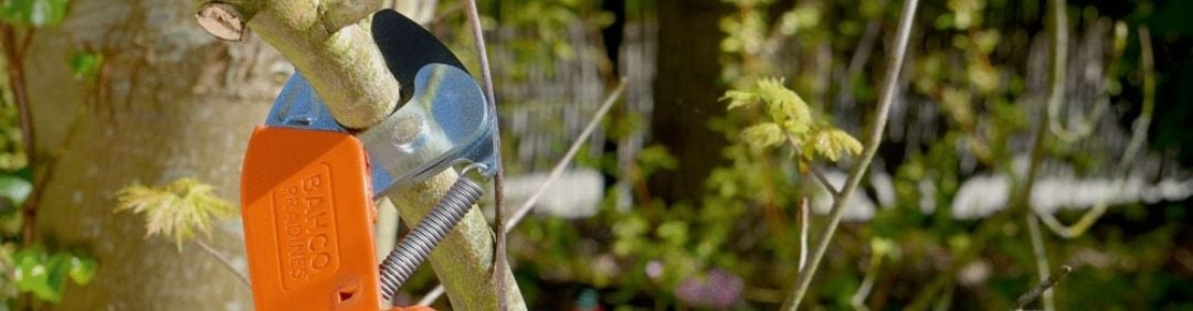 Le migliori forbici per siepi manuali Bahco in offerta su AgriEuro