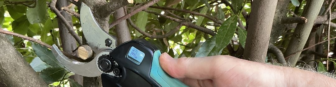 Le migliori forbici da potatura a batteria Campagnola in offerta su AgriEuro