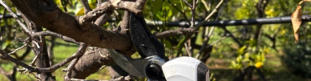 Le migliori Forbici da potatura a batteria Castellari in offerta su AgriEuro