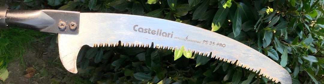 I migliori Segacci su asta di prolunga Castellari in offerta su AgriEuro