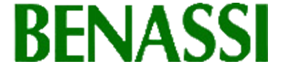 Benassi
